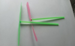 Bamboo Dragonfly